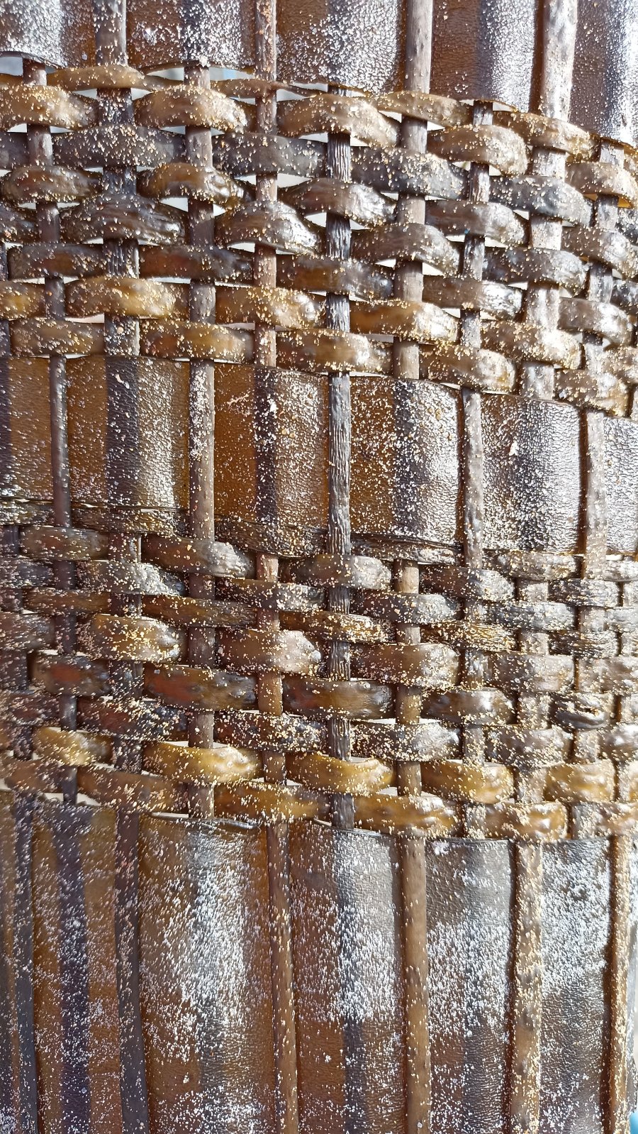 Seaweed - cover image