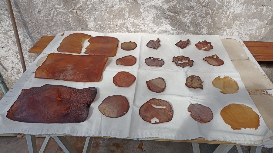 Cuir de kombucha - image de couverture